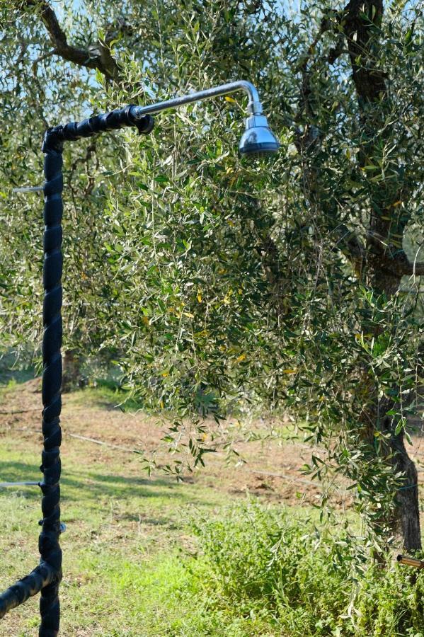 La Villa Di Campagna Пістіччі Екстер'єр фото